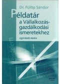 Fülöp Sándor - Példatár a Vállalkozásgazdálkodási ismeretekhez ügyintézők részére