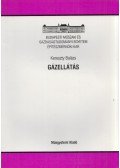 Kereszty Balázs - Gázellátás