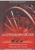 Bagyinszki Zoltán - Aggtelek ​– Wieliczka