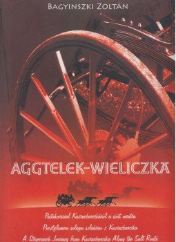 Bagyinszki Zoltán - Aggtelek – Wieliczka Bagyinszki Zoltán - Aggtelek – Wieliczka, Debrecen 0 antikvár könyv