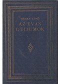 Renan Ernő - Az evangéliumok és a második keresztény nemzedék