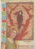 Solymár Tamás - Ezermester 1961. október