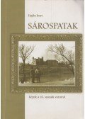 Hajdu Imre - Sárospatak