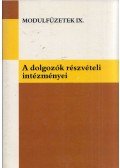 Kisgyörgy Sándor,Vámos István - A dolgozók részvételi intézményei