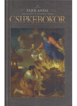 Lisztóczky László - Csipkebokor Lisztóczky László - Csipkebokor, Jászapáti 2008 antikvár könyv