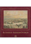 Buzinkay Géza - Budapest székesfőváros