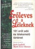 Jack Canfield,Mark Victor Hansen - Erőleves a léleknek