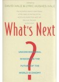 David Hale,Lyric Hughes Hale - What's Next?: Unconventional Wisdom on the Future of the World Economy
