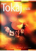 Botos Ernő Péter,Marcinkó Ferenc - Tokaj