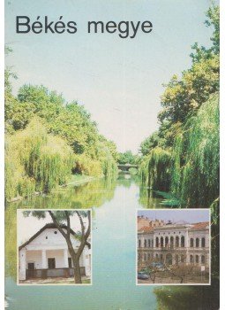  - Békés megye, Budapest 1984 antikvár könyv