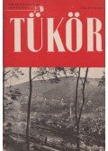 Bisztray Gyula,Nagy Méda,Szász Károly,Thurzó Gábor - Tükör VIII. évfolyam 7. sz.