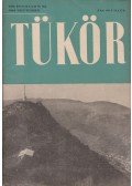 Asztalos Miklós,Áprily Lajos,Bodor Aladár,Csengery Ilona,Erdélyi József,Gáspár Jenő,Jékely Zoltán,Kampis Antal,Radnóti István - Tükör VIII. évfolyam 9. sz.