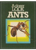 Valerie Pitt,David Cook - A Closer Look at Ants