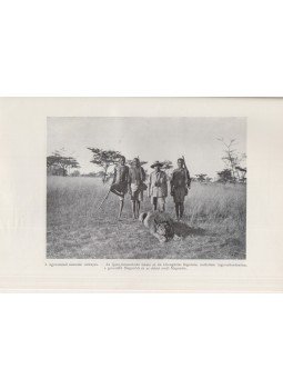 Kittenberger Kálmán - Vadász- és gyüjtőúton Kelet-Afrikában, Budapest 1928 antikvár könyv