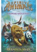 Brandon Mull - Vadnak született