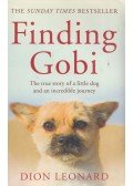 Dion Leonard - Finding Gobi