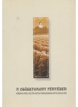 Bihari József, Kanizsa József - A csősztorony fényében Bihari József, Kanizsa József - A csősztorony fényében, Budapest 2006 antikvár könyv