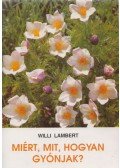 Willi Lambert SJ - Miért, mit, hogyan gyónjak?