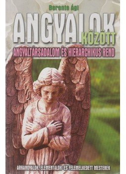 Berente Ági - Angyalok között Berente Ági - Angyalok között, Kecskemét 2013 antikvár könyv
