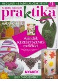 Boda Ildikó - Praktika 2007. november