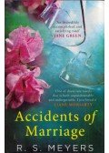 Randy Susan Meyers - Accidents of Marriage