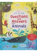 Katie Daynes - Questions and Answers About Animals