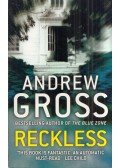 Andrew Gross - Reckless