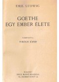 Emil Ludwig - Goethe