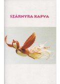 Dr. Pető Zoltán - Szárnyra kapva