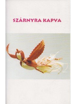 Dr. Pető Zoltán - Szárnyra kapva Dr. Pető Zoltán - Szárnyra kapva, Szeged 2002 antikvár könyv