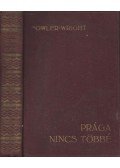 S. Fowler Wright - Prága nincs többé