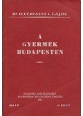Dr. Illyefalvi I. Lajos - A gyermek Budapesten