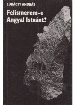 Lukácsy András - Felismerem-e Angyal Istvánt? (dedikált) Lukácsy András - Felismerem-e Angyal Istvánt? (dedikált), Budapest 1990 antikvár könyv