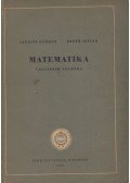 Alexits György,Fenyő István - Matematika vegyészek számára
