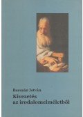 Berszán István - Kivezetés az irodalomelméletből