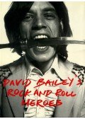 Neil Spencer,David Bailey - David Bailey's Rock and Roll Heroes