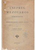 Farkas Sándor - Csepreg mezőváros története