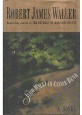 Robert James Waller - Slow Waltz in Cedar Bend