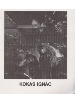 Fitz Jenő - Kokas Ignác festőművész gyűjteményes kiállítása/Exposition of the Collected Works of Ignác Kokas, Székesfehérvár 1984 antikvár könyv