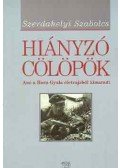 Szerdahelyi Szabolcs - Hiányzó cölöpök - Ami Horn Gyula életrajzából kimaradt