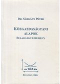 Dr. Sárkány Péter - Közgazdaságtani alapok