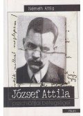 Németh Attila - József Attila pszichiátriai betegségei