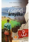 B. Czakó Andrea - A csend árnyéka