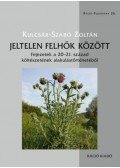 Kulcsár,Szabó Zoltán - Jeltelen felhők között - Fejezetek a 20-21. század költészetének alakulástörténetéből