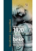 Apponyi Albert, Horváth Jenő - Válaszbeszéd 1920 / A trianoni béke megalkotása 1915-1920