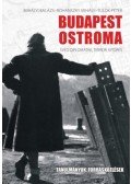 Mihályi Balázs - Budapest ostroma - Svéd diplomaták, terror, kitörés