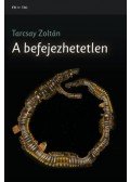 Tarcsay Zoltán - A befejezhetetlen