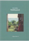 Tóth Ildikó - Múltbanéző