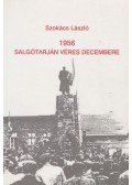 Szokács László - 1956 - Salgótarján véres decembere