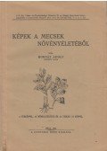 Horvát Adolf - Képek a Mecsek növényéletéből